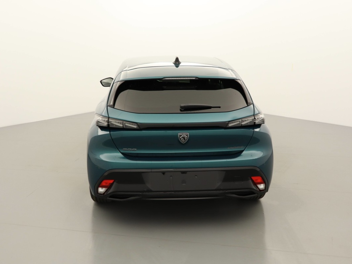 Vue 5