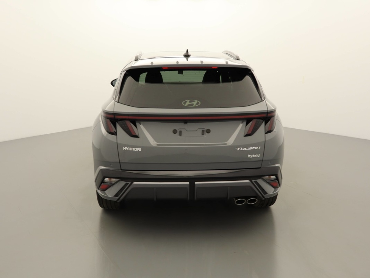 Vue 5